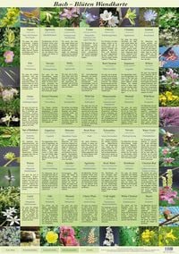 Produktbild: Bach Blüten Wandkarte