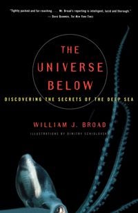 Produktbild: The Universe Below