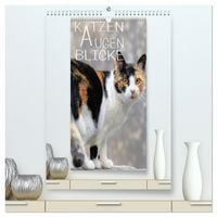 Produktbild: KATZEN AUGEN BLICKE (hochwertiger Premium Wandkalender 2026 DIN A2 hoch), Kunstdruck in Hochglanz