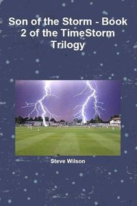 Bild vom Artikel Son of the Storm - The Timestorm Trilogy Book 2 vom Autor Steve Wilson