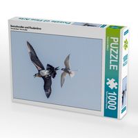 Produktbild: Seeschwalbe und Raubm&ouml;we (Puzzle)