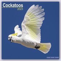 Produktbild: Cockatoos - Kakadus 2023 - 16-Monatskalender