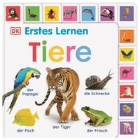 Produktbild: Erstes Lernen. Tiere