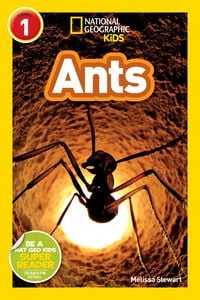 Produktbild: Ants (National Geographic Kids Readers, Level 1)