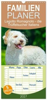 Produktbild: Familienplaner 2027 - Lagotto Romagnolo - die Tr&uuml;ffelsucher Italiens mit 5 Spalten (Wandkalender, 21 x 45 cm) CALVENDO