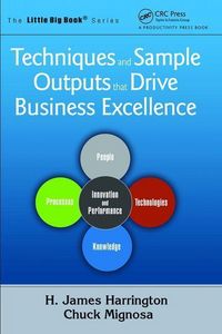 Produktbild: Techniques and Sample Outputs that Drive Business Excellence