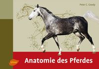 Produktbild: Anatomie des Pferdes