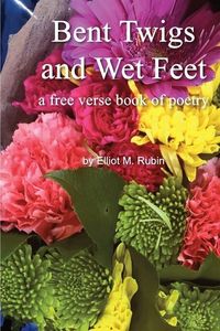 Produktbild: Bent Twigs and Wet Feet: a free verse book of poetry