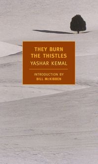 Produktbild: They Burn the Thistles