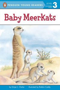 Produktbild: Baby Meerkats