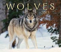 Produktbild: Wolves