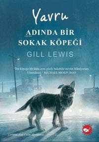 Produktbild: Yavru Adinda Bir Sokak K&ouml;pegi