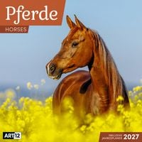 Produktbild: Pferde Kalender 2027 - 30x30 - Art12