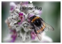 Produktbild: Hummelflug (Wandkalender 2027 DIN A3 quer), CALVENDO Monatskalender