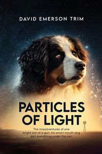 Produktbild: Particles of Light