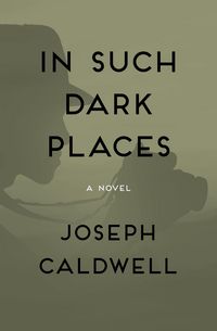 Produktbild: In Such Dark Places