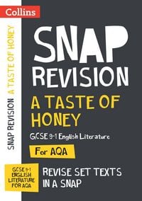 Produktbild: A Taste of Honey AQA GCSE 9-1 English Literature Text Guide