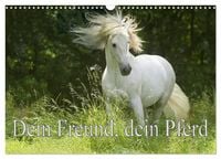 Produktbild: Dein Freund, dein Pferd (Wandkalender 2027 DIN A3 quer), CALVENDO Monatskalender