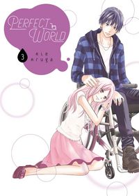 Produktbild: Perfect World 3