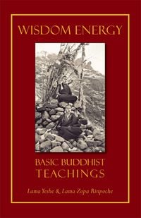 Produktbild: Wisdom Energy