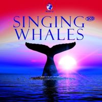 Bild vom Artikel Various: Singing Whales vom Autor Various