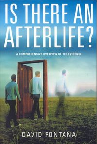 Produktbild: Is There an Afterlife?