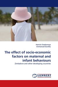 Produktbild: The effect of socio-economic factors on maternal and infant behaviours