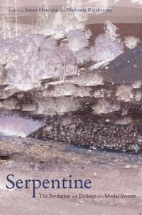 Produktbild: Serpentine
