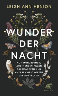 Produktbild: Wunder der Nacht