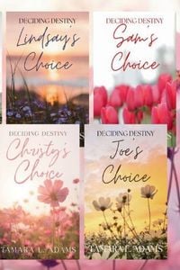 Produktbild: Deciding Destiny Series Omnibus
