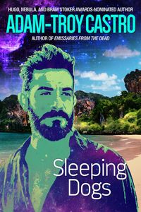 Produktbild: Sleeping Dogs