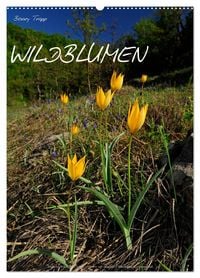 Produktbild: WILDBLUMEN (Wandkalender 2026 DIN A2 hoch), CALVENDO Monatskalender