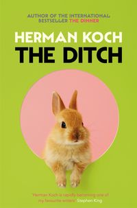 Produktbild: The Ditch