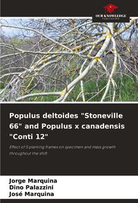 Produktbild: Populus deltoides "Stoneville 66" and Populus x canadensis "Conti 12"