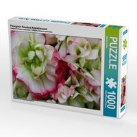 Produktbild: CALVENDO Puzzle Pelargonie Rosebud Appleblossom | 1000 Teile Lege-Gr&ouml;&szlig;e 64x48cm Foto-Puzzle f&uuml;r gl&uuml;ckliche Stunden