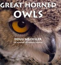 Produktbild: Great Horned Owls