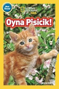 Produktbild: Oyna Pisicik