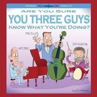 Produktbild: Are You Sure You Three Guys Know What You're Doing