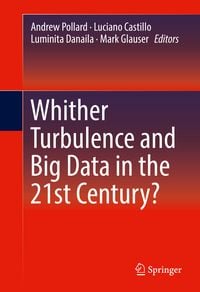 Produktbild: Whither Turbulence and Big Data in the 21st Century?
