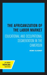 Produktbild: The Africanization of the Labor Market