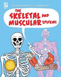 Produktbild: The Skeletal and Muscular Systems