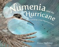 Produktbild: Numenia and the Hurricane