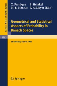 Produktbild: Geometrical and Statistical Aspects of Probability in Banach Spaces