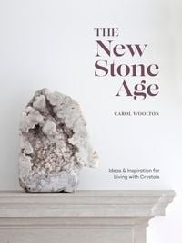 Produktbild: The New Stone Age
