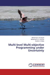 Produktbild: Multi-level Multi-objective Programming under Uncertainty