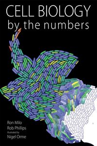 Produktbild: Cell Biology by the Numbers