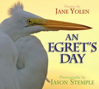 Produktbild: An Egret's Day