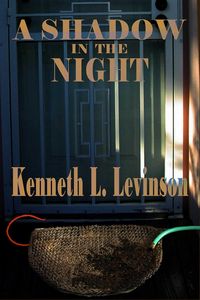 Produktbild: A Shadow in the Night