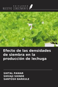 Produktbild: Efecto de las densidades de siembra en la producci&oacute;n de lechuga