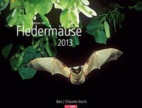 Produktbild: Flederm&auml;use 2013